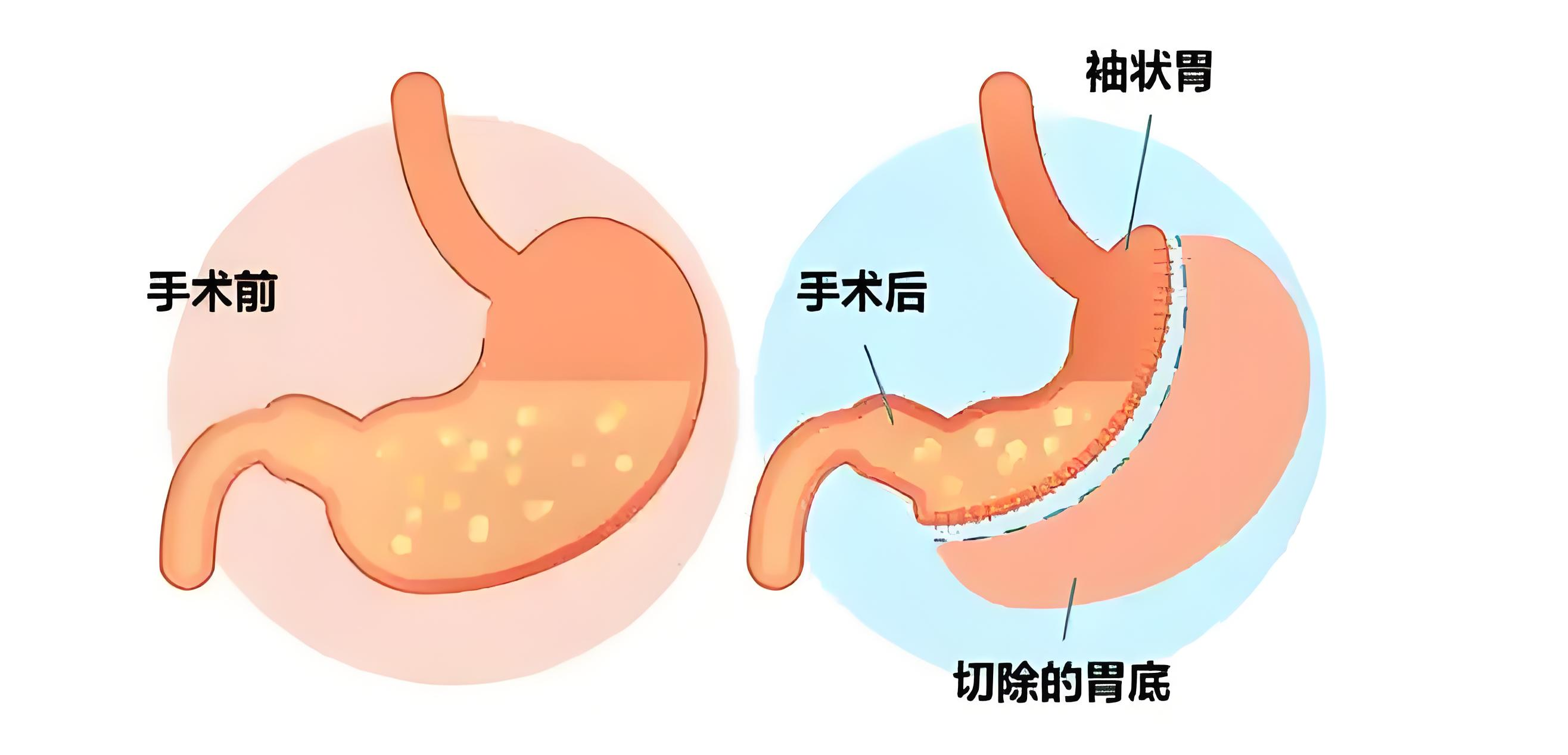 1742345332999068901.png 1742345332999068901.png