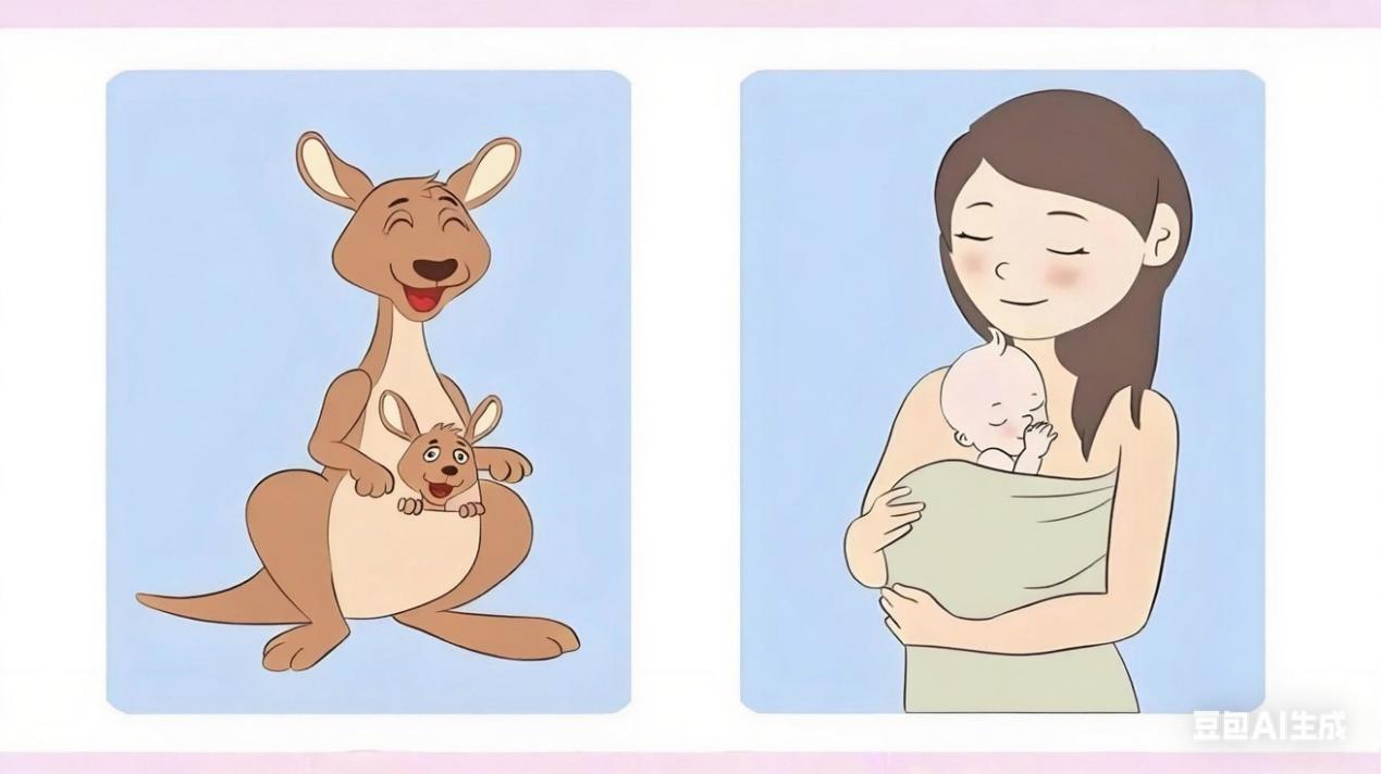 1754970147885015661.jpeg 1754970147885015661.jpeg